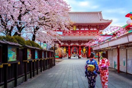 Sonbahar Şöleni Koyo Zamanında  Kapsamlı Japonya Gezisi