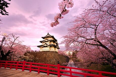 Sonbahar Şöleni Koyo Zamanında  Kapsamlı Japonya Gezisi
